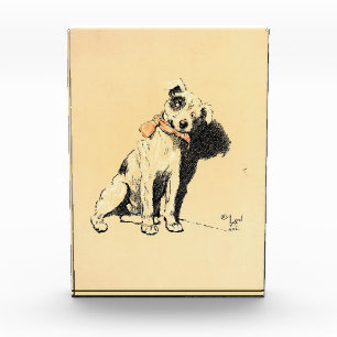 A Dog Day Pl 02 (1902) Cecil Charles Windsor Fotoblock