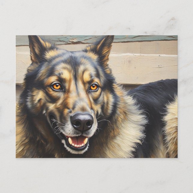 A domestic dog looks trustingly into the camera. postkarte (Vorderseite)