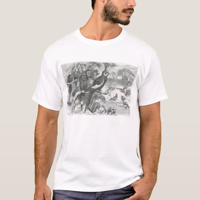 A. E. Brehm - Cockatiels T-Shirt (Vorderseite)