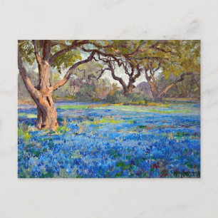A Field of Bluebonnets at Alamo Heights, 1919 Postkarte