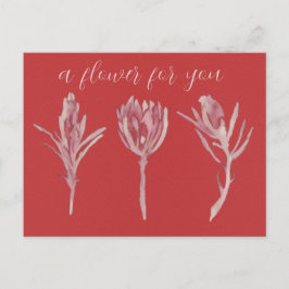 A flower for you postkarte