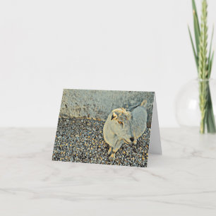 A Friendly Goat sagt Hello - Blank Card Karte
