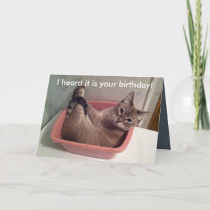 A Funny Cat Birthday Card 5X7 Karte