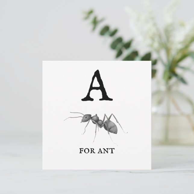 ‚A‘ für Ant (Stehend Vorderseite)