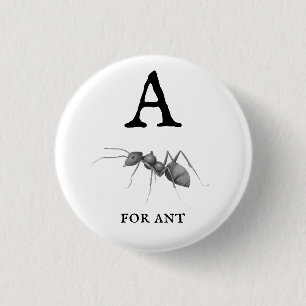 ‚A‘ für Ant Button