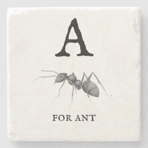 ‚A‘ für Ant Steinuntersetzer