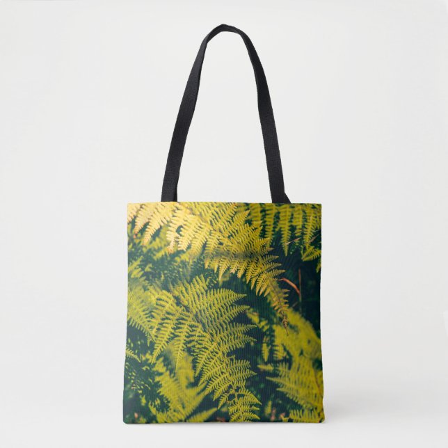 A green fern plants background with shadows. abstr (Vorderseite)