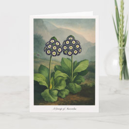 A Group of Auriculas — Modern Botanical Reinterpre Karte