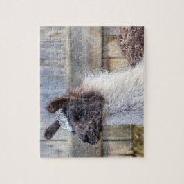 A Happy Llama Puzzle