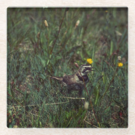 A Horned Lark Glasuntersetzer