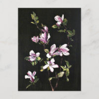 A Japanese Magnolia, Gemälde von Marianne North,