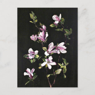 A Japanese Magnolia, Gemälde von Marianne North, Postkarte