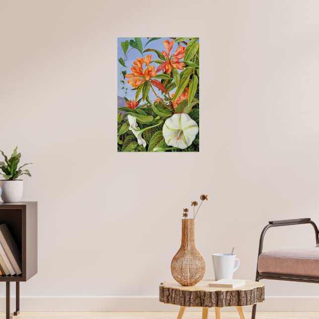 A Javan Rhododendrum und Ipomoea Poster (Wohnzimmer 3)
