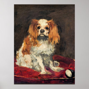 A King Charles Spaniel, schöne Kunst Poster