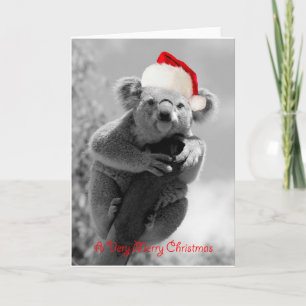 A koala happy christmas feiertagskarte