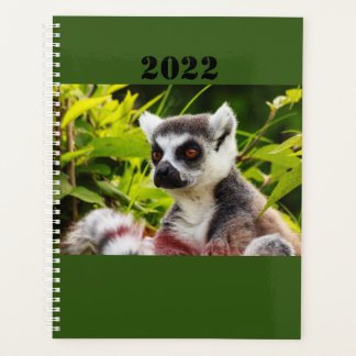 a lemur of Madagascar on planner Planer