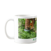 "A Little Bit Nuts", Rote Eichhörnchen auf den Kop