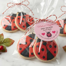 A Little Love Bug Is On The Way Ladybug Geschenkanhänger