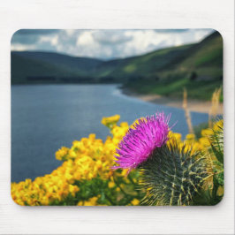 A lone thistle overlooking Megget Reservoir Mouse Mousepad