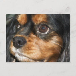 A Loyal Dog Cavalier King Charles Spaniel Postcard Postkarte
