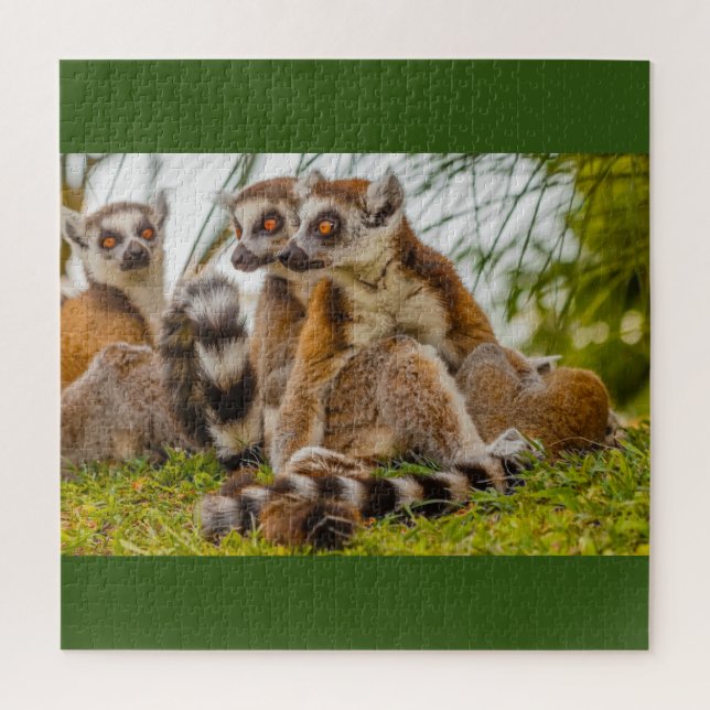 a male lemur hugs his female on puzzle (Vertikal)