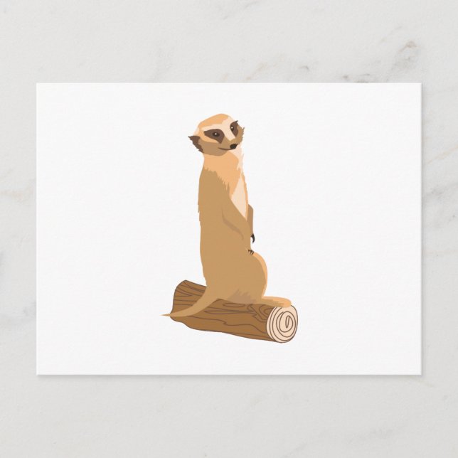 A Meerkat Postkarte (Vorderseite)