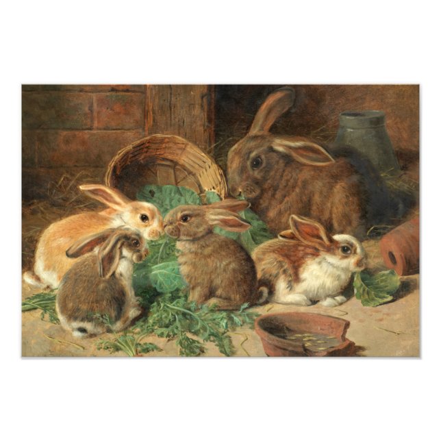 A Mother Rabbit and her Young by Alfred Barber Fotodruck (Vorne)