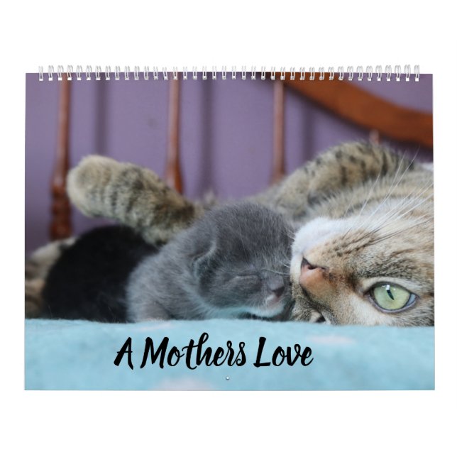 A MOTHERS LOVE MAMACAT & HER KITTENS KALENDER (Titelbild)