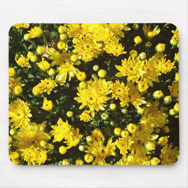 A Multitude of Yellow Mums Mousepad (Vorne)