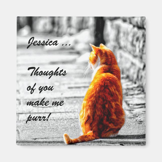 A-PAL Tinted Orange Tabby Cat Painting Custom Magnet (Vorne)