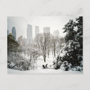 A Pedicab in Central Park During Winter Postkarte