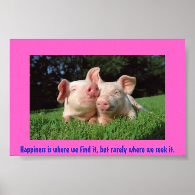 A pigs life poster (Vorne)