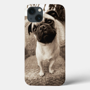 A Pug with its Head Titled to the Side Case-Mate iPhone Hülle