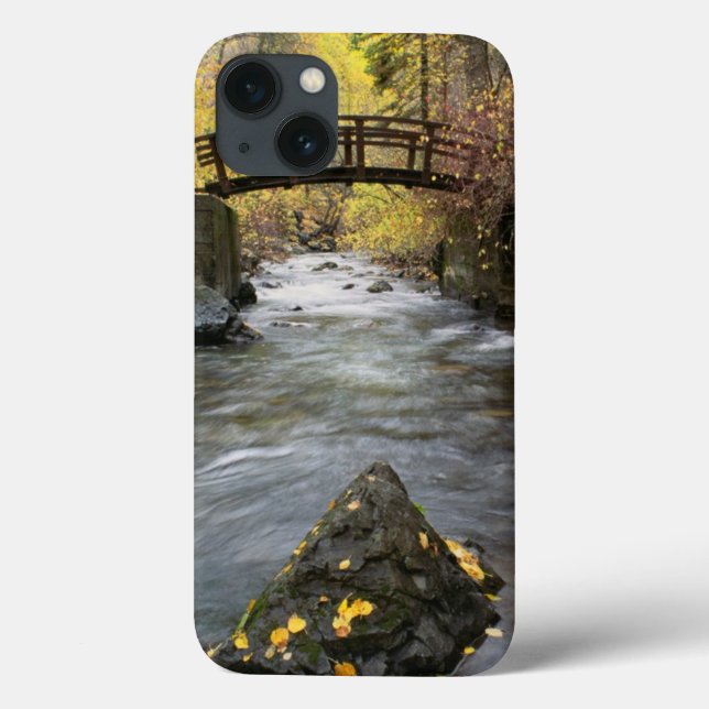 A River Running Through American Fork Canyon Case-Mate iPhone Hülle (Rückseite)
