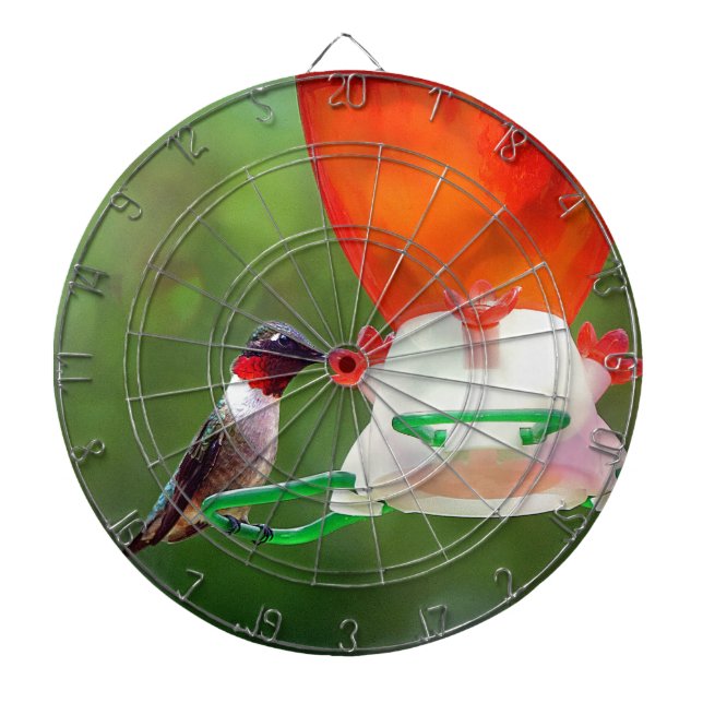 A Ruby Throated Hummingbird Dartscheibe (vorne)
