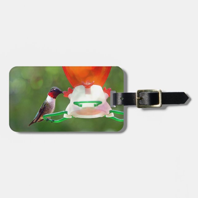 A Ruby Throated Hummingbird Gepäckanhänger (Vorderseite horizontal)