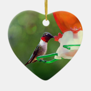 A Ruby Throated Hummingbird Keramikornament