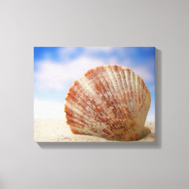 A Shell Propped In The Sand Leinwanddruck (Vorderseite)