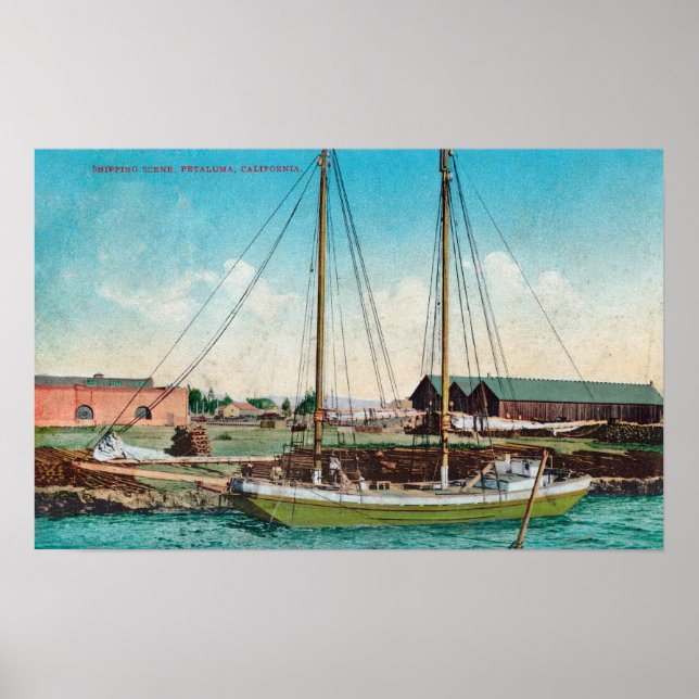 A Shipping Schooner ScenePetaluma, CA Poster (Vorne)