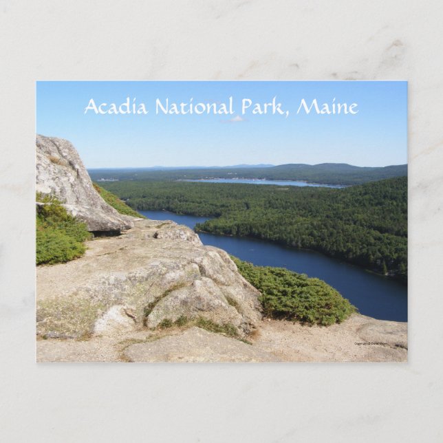 A Sight to See Postkarte (Vorderseite)