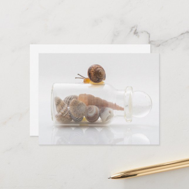 A snail and seashells postkarte (Vorderseite/Rückseite Beispiel)