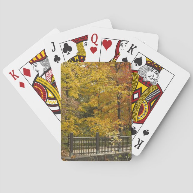 a spielkarten (Rückseite)