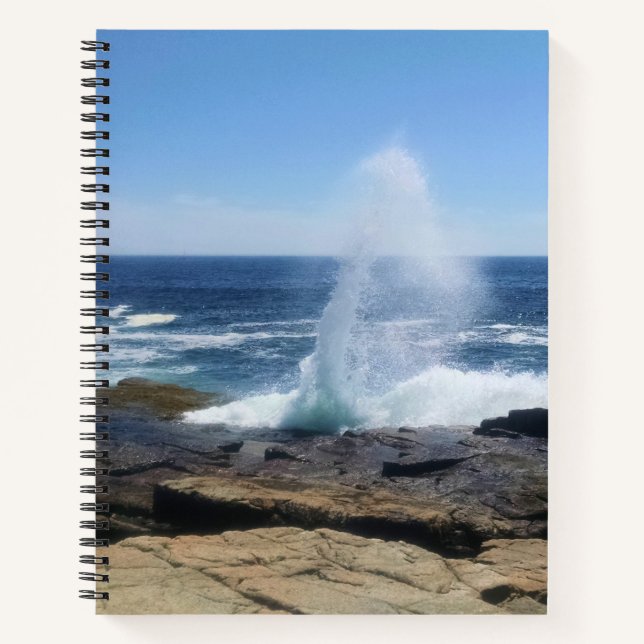 A Splash of Adventure at Schoodic Point Notizbuch (Vorderseite)