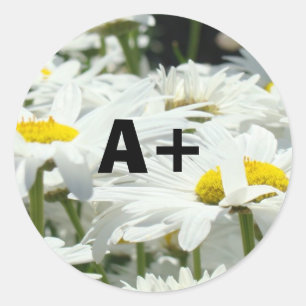 A+ Stickers Students Graachers School Daisy