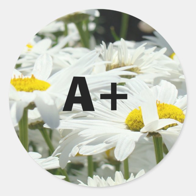 A+ Stickers Students Graachers School Daisy (Vorderseite)