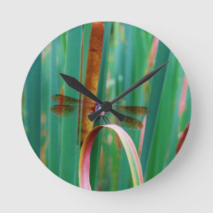 A teal Eyed Dragonfly with cattails Runde Wanduhr
