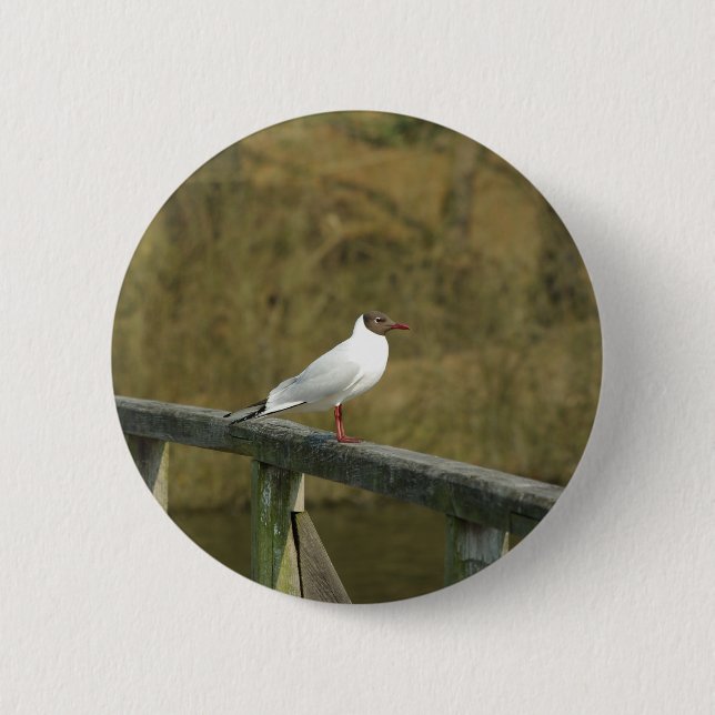 A tern - Taste Button (Vorderseite)