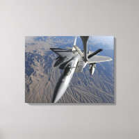 A US Air Force F-15 Eagle
