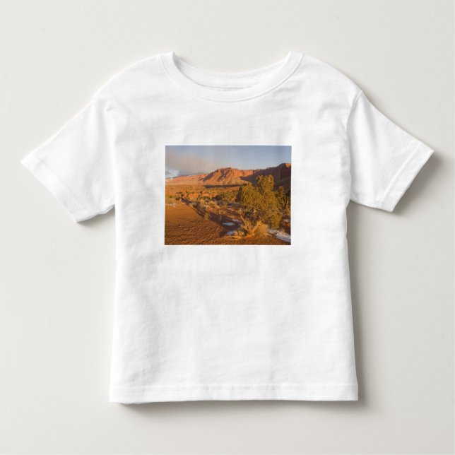 A Utah Juniper Juniperus osteosperma) Baum in 2 Kleinkind T-shirt (Vorderseite)
