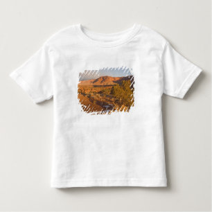 A Utah Juniper Juniperus osteosperma) Baum in 2 Kleinkind T-shirt